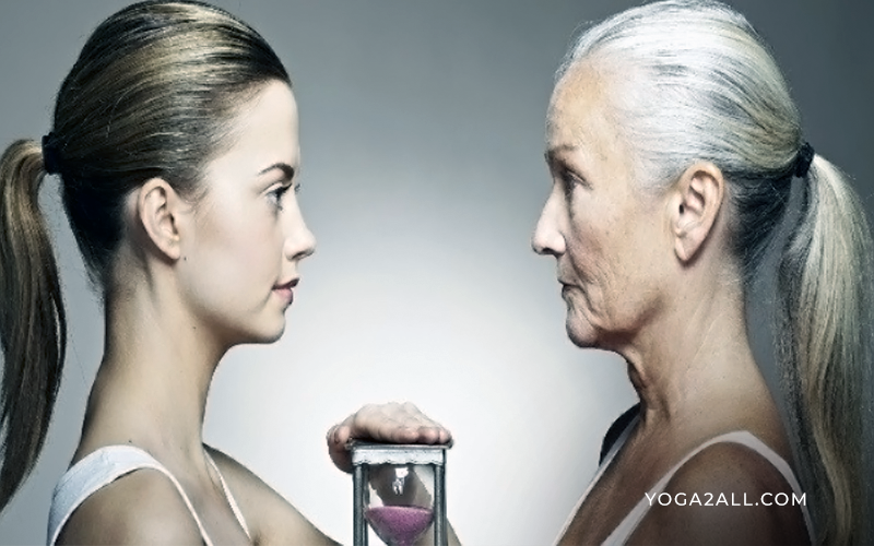 What Is AcceleratedAgingProcesses And How to Prevent It?