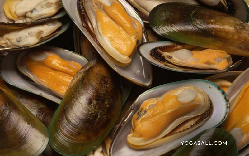 What Is Green Mussels And What Are Its Benefits?