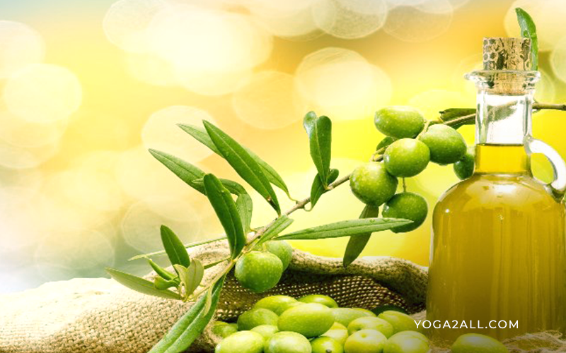 Benefits and Uses of Indian Olive Oil for Hair and Scalp