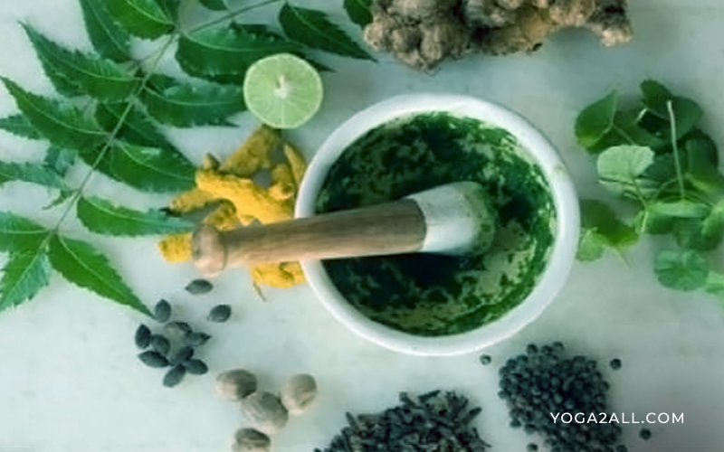 Ayurveda The Science of Herbs Ayurveda Treatment for Acne