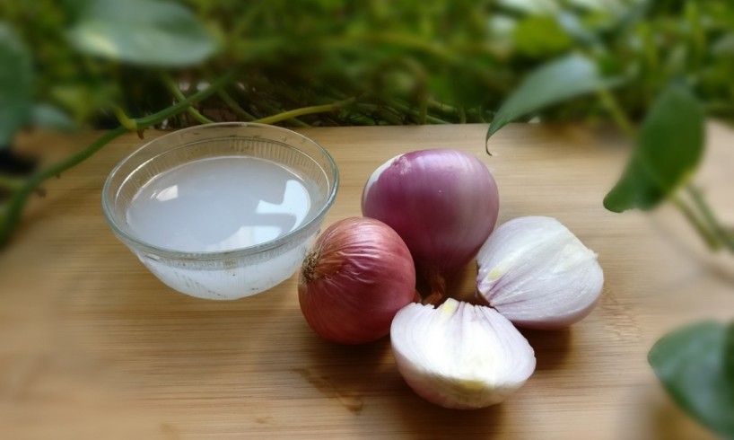 Red Onion Oil Benefits