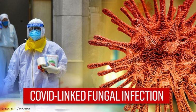 Back fungal infection in Covid Patients