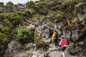 Kilimanjaro climb cost