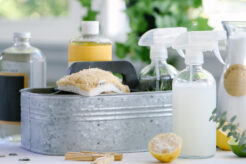 Eco friendly organic cleaning materials