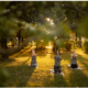 Yoga Retreat